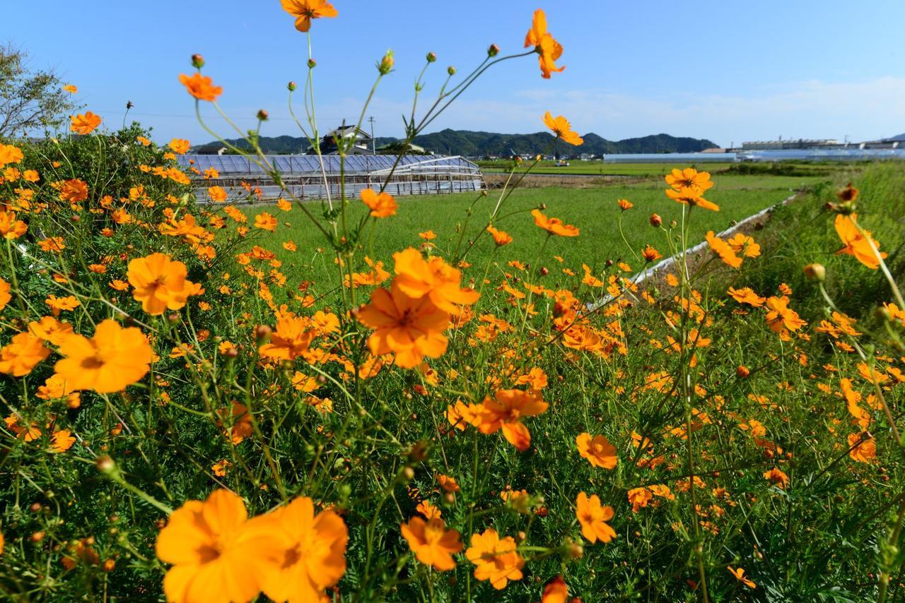 Haruno Guesthouse Kōchi Dış mekan fotoğraf